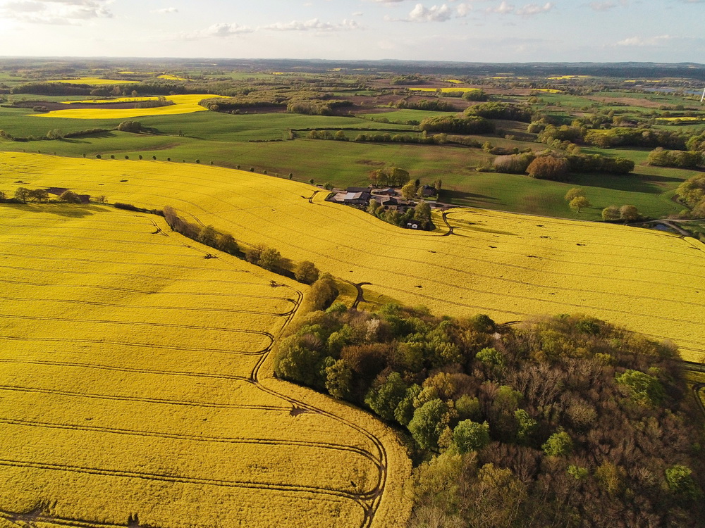 Agricultural Land